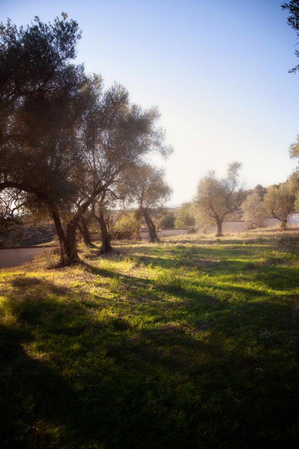 Finca Palmers Dos Міхас Екстер'єр фото